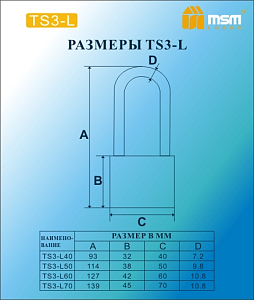 Замок навесной MSM TS3/L70 блистер #235748